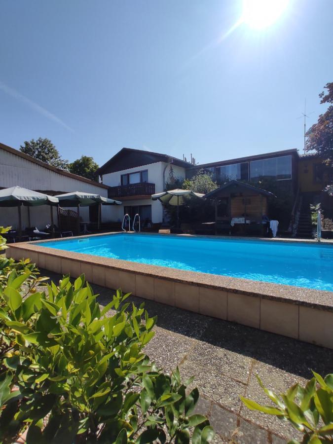 Moselferienweingut Schaefer Apartman Wintrich Kültér fotó
